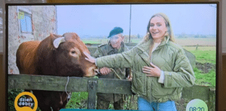 Romek Zaklinacz Byków z Warmii w programie „Dzień dobry TVN”