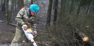 Praktyczny poradnik bezpiecznej pracy pilarką spalinową w lesie z Romkiem Zaklinaczem Byków pilarka pila spalinowa w lesie