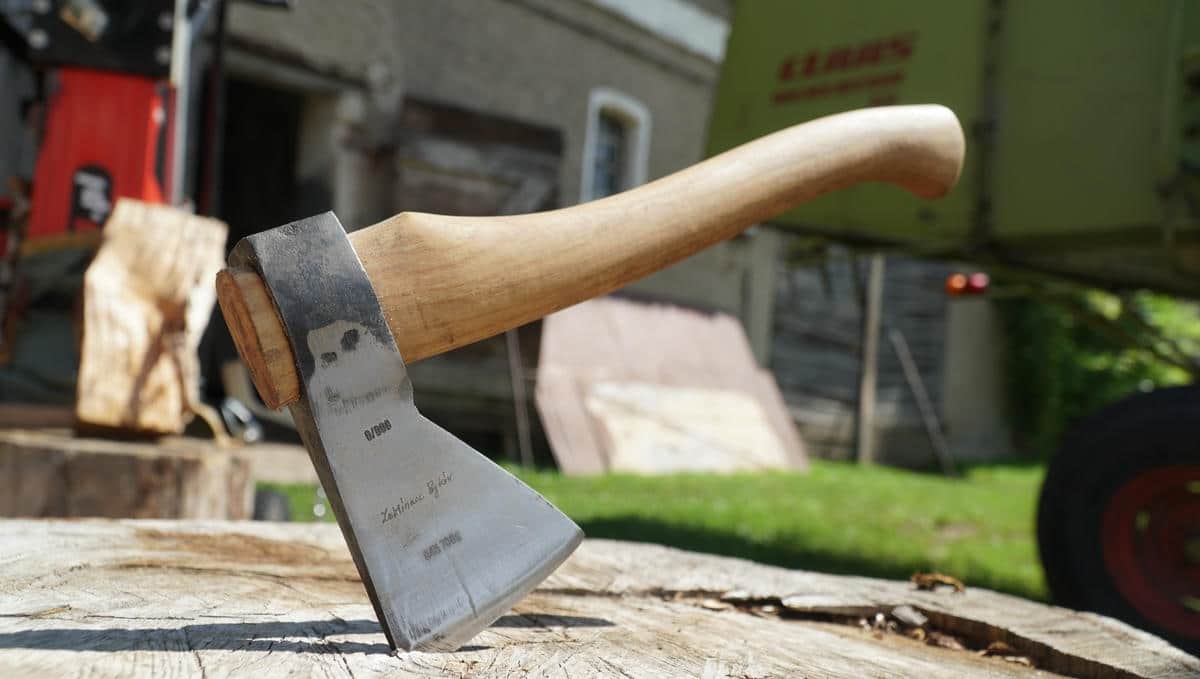 DSC08061e Nowy Toporek ratunkowy Zaklinacza Byków. Jak kupić? Aktualności